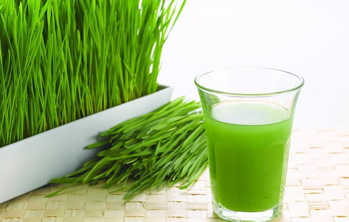 Wheat Grass Juice