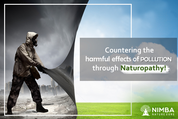 Countering the harmful effects of pollution through Naturopathy!