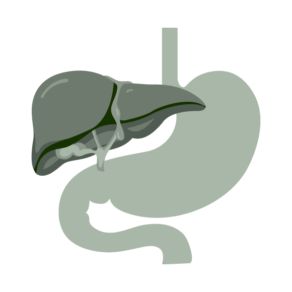 GASTRO_INTESTINAL_DISORDERS_FATTY_LIVER