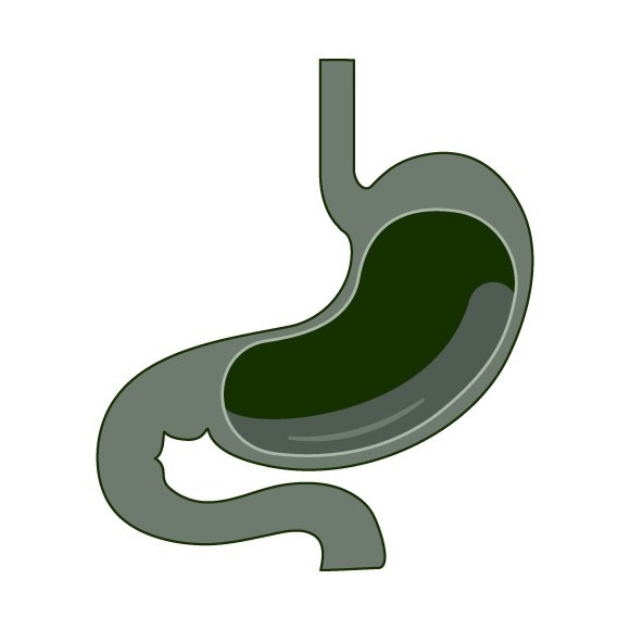 GASTRO_INTESTINAL_DISORDERS_GASTRITIS