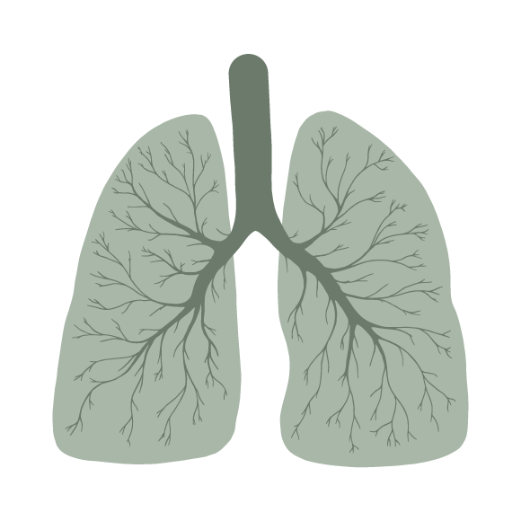 RESPIRATORY_AILMENTS_ASTHAMA