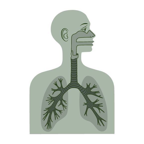 RESPIRATORY_AILMENTS_PULMONARY_ALLERGIC_BRONCHITIS