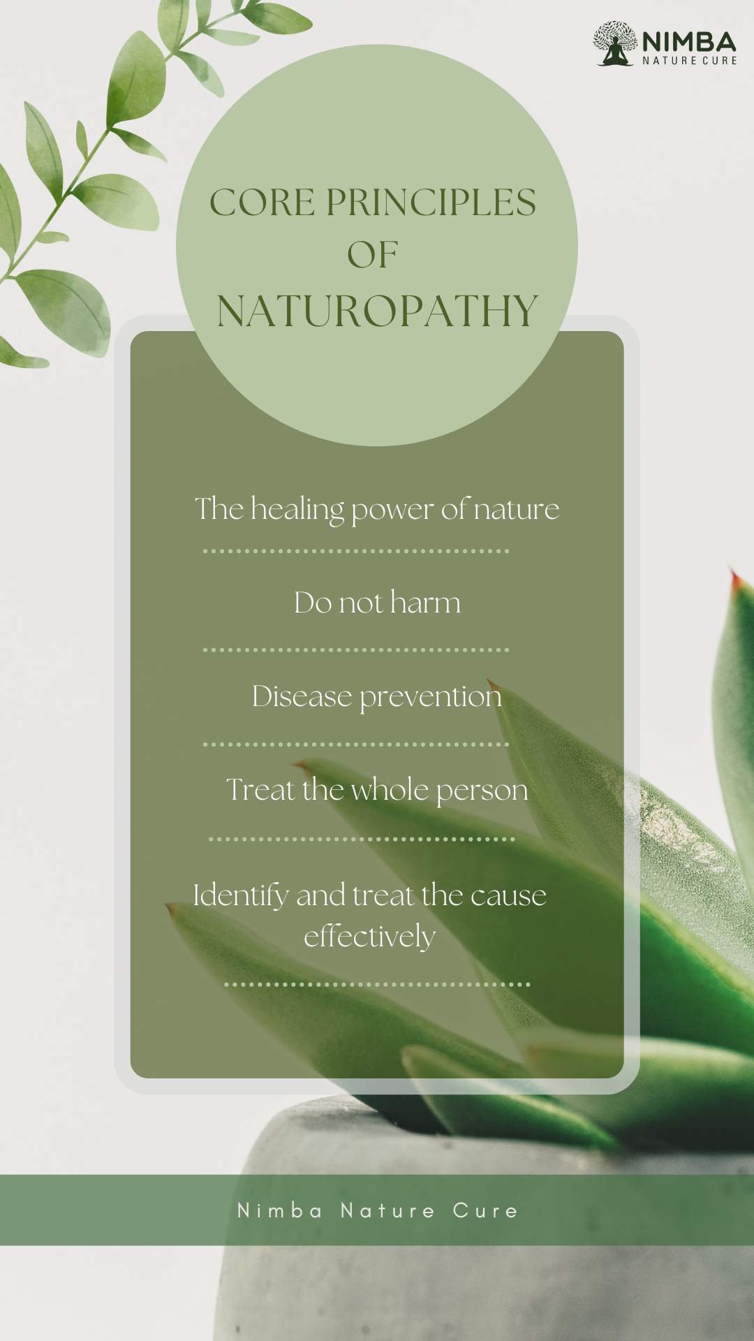 6 Core Principles Of Naturopathy