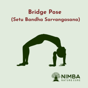 Bridge Pose (Setu Bandha Sarvangasana)
