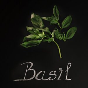 hidden potential of basil