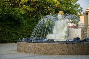 Buddha Circle Buddha Circle