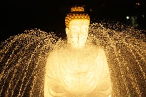 Buddha Circle Buddha-Circle