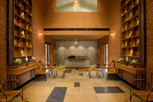 Naturopathy Treatmen